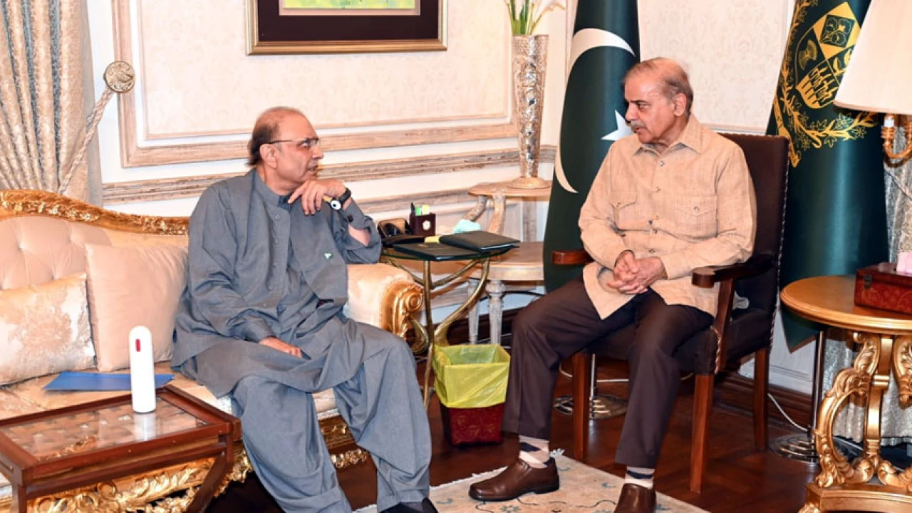 PM Shehbaz, Zardari reach consensus on timely elections