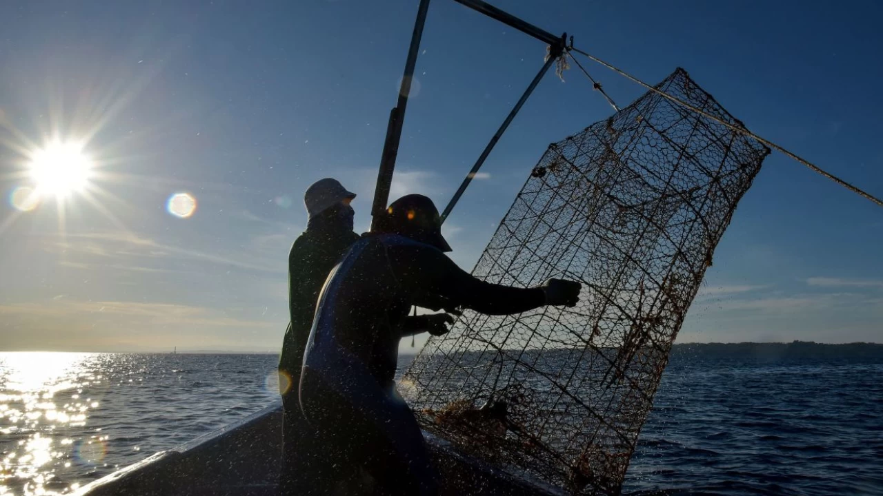 fishermen