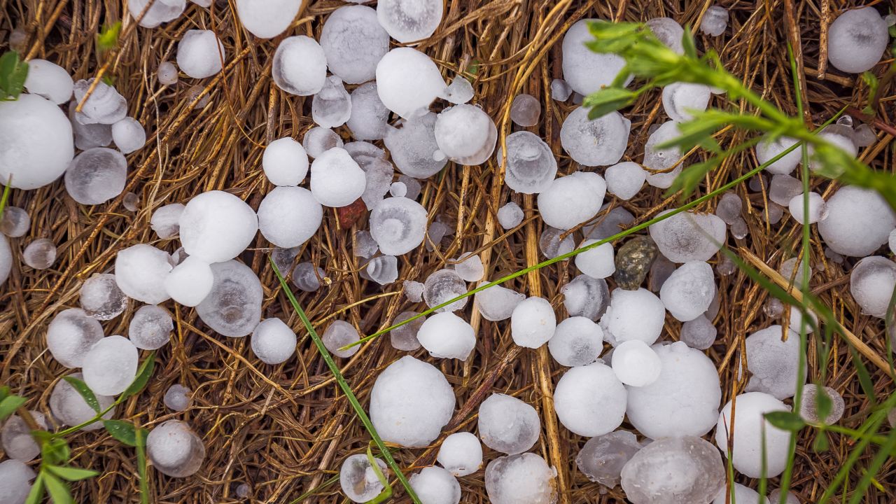 Over 100 injured as tennis ballsized hailstorm hits Italy