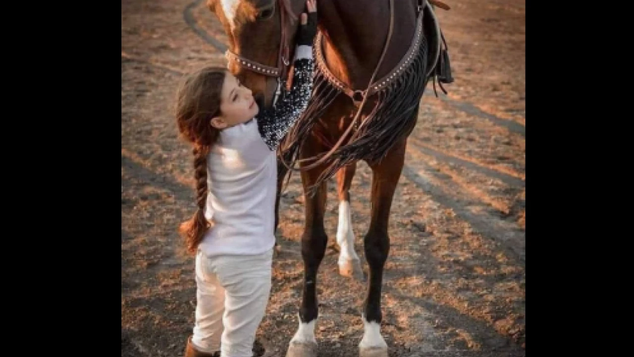 Dubai ruler gifts herd of horses to Iraqi girl after her horse death
