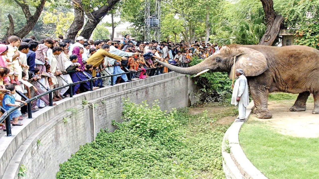 Four zoos to revamp as per int’l standard