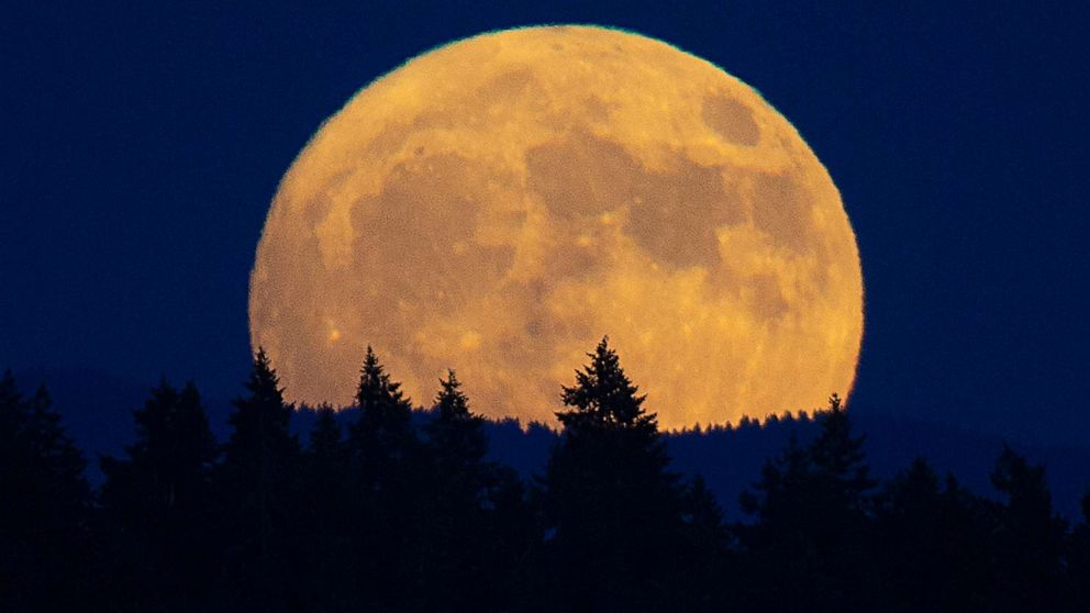 Two rare supermoons to appear in August