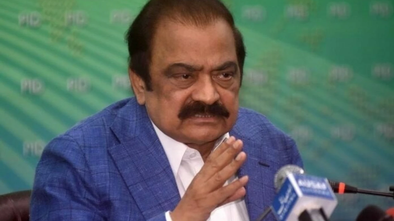 Elections expected next year in Feb or March, claims Rana Sanaullah