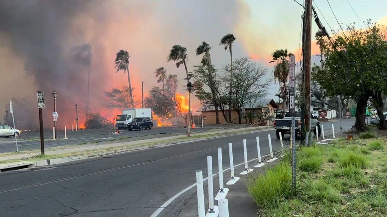 At least 36 dead in Hawaii wildfires, tourists evacuated