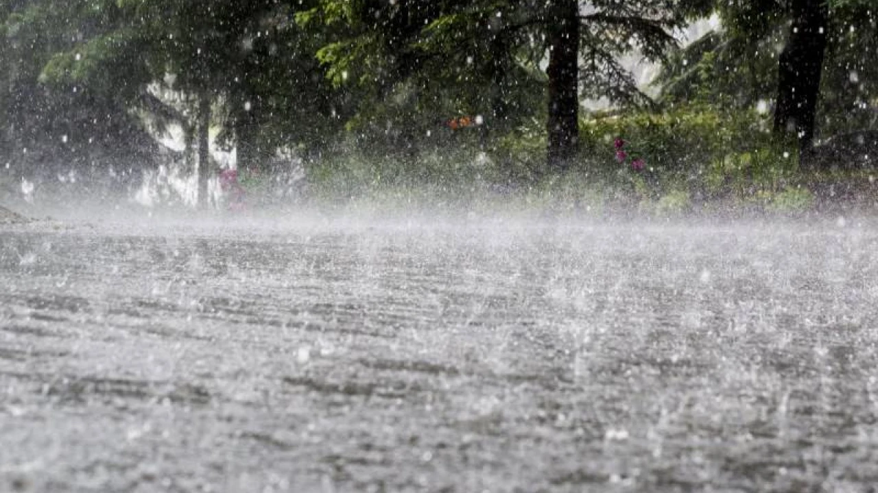 PDMA issues rain alert in KP