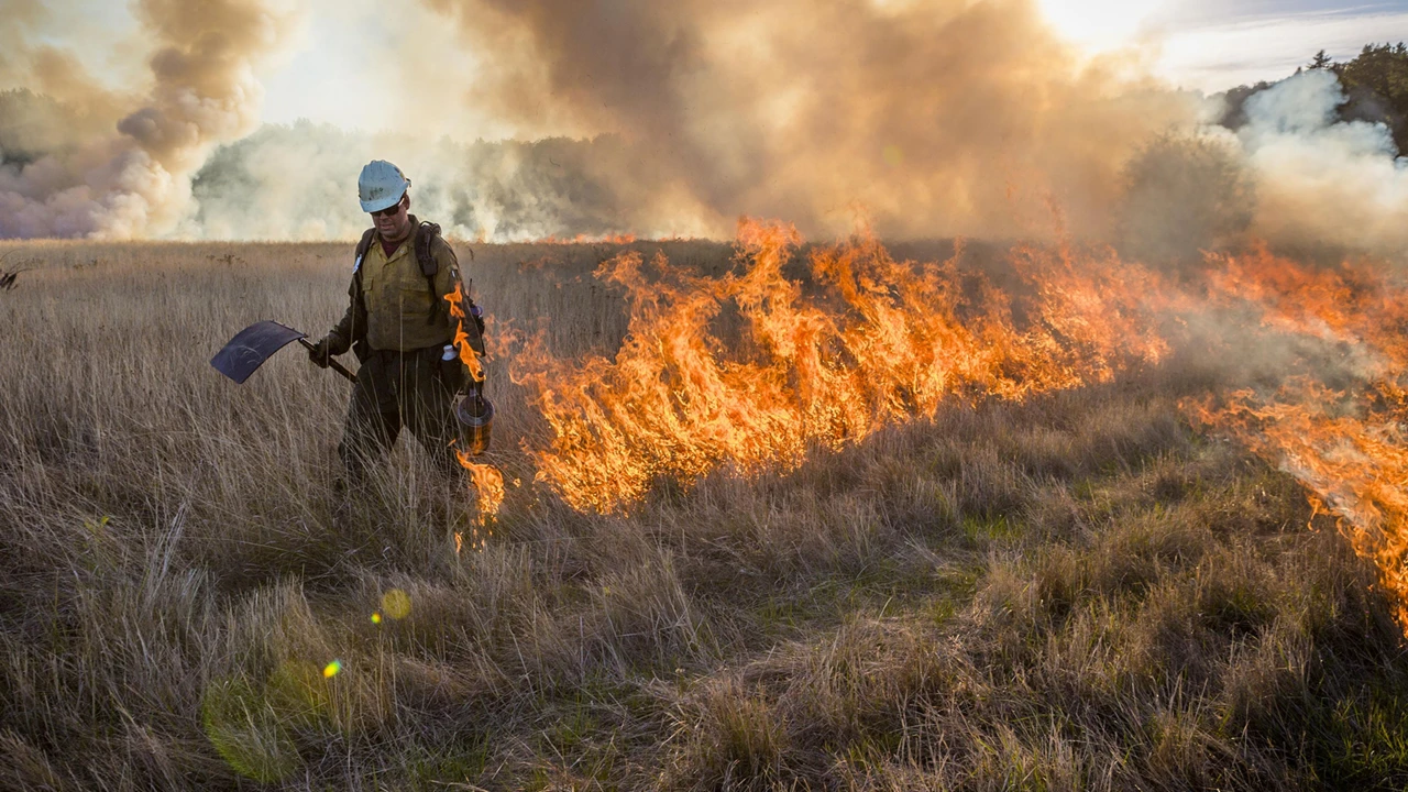 Wildfire devastation in Hawaii claims 101 lives