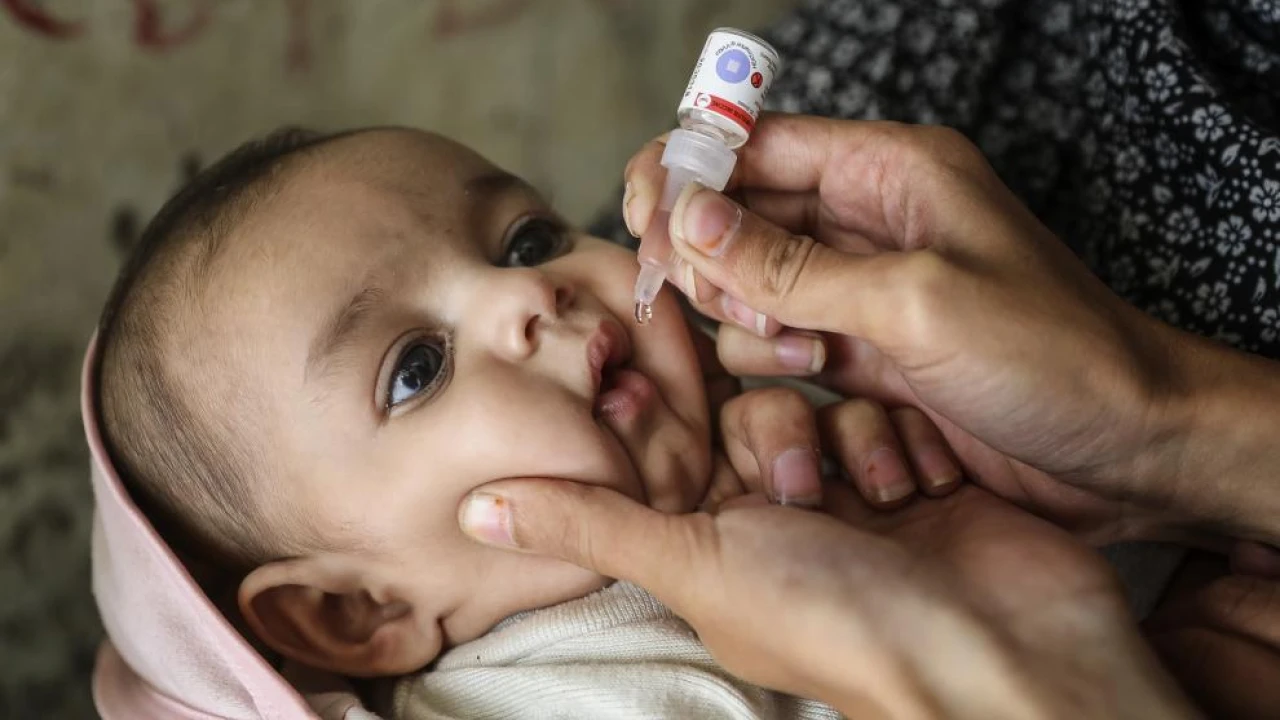 Polio virus found in Peshawar's environmental samples