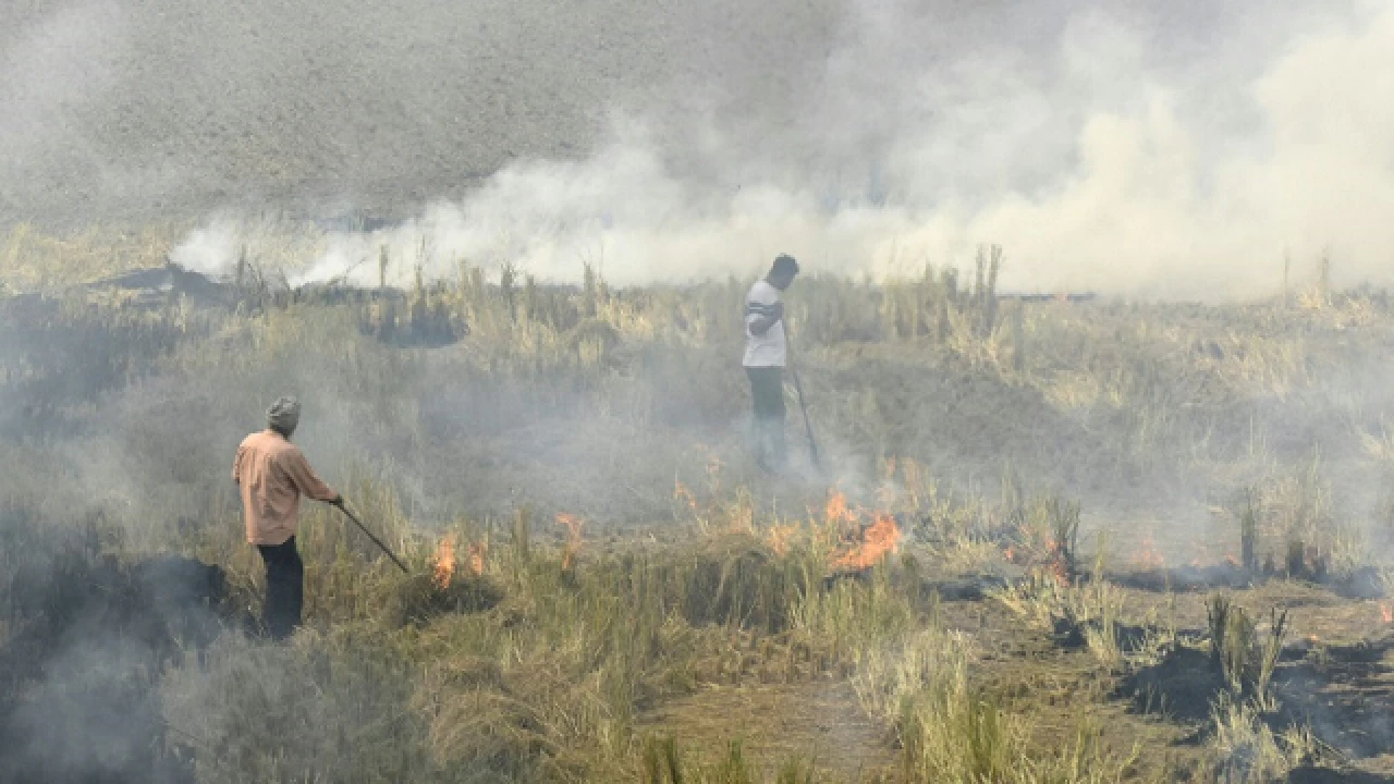 Section 144 imposed in Lahore on burning stubble