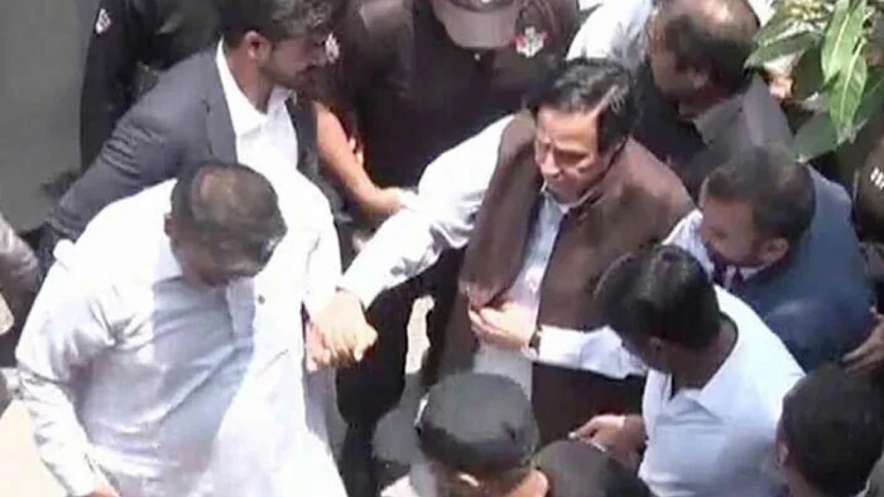 IHC suspends Elahi's detention, orders to release