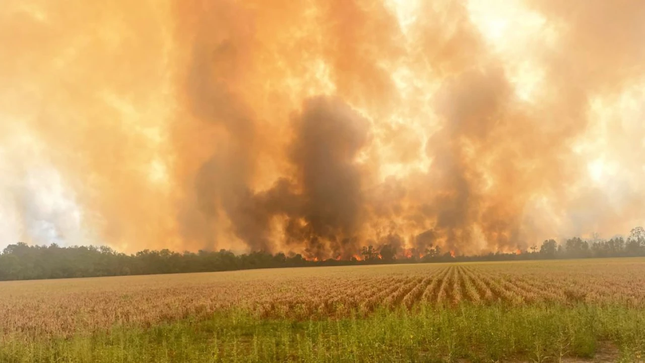 How Louisiana — one of the nation’s wettest states — caught on fire