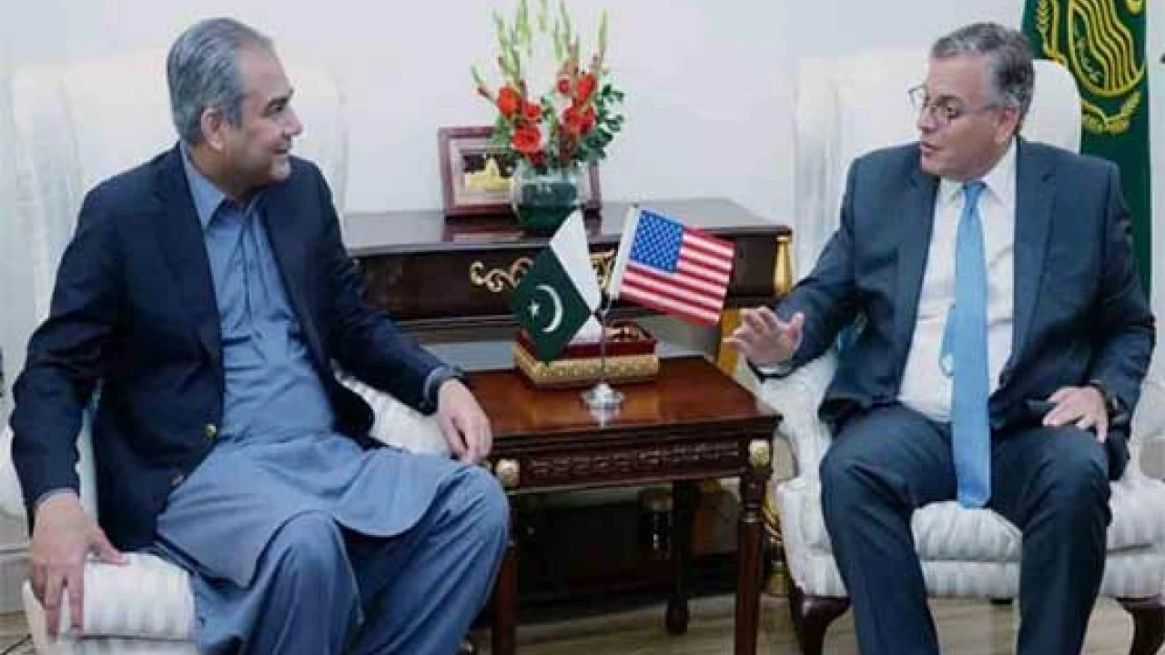 Mohsin Naqvi, US Ambassador discuss bilateral cooperation