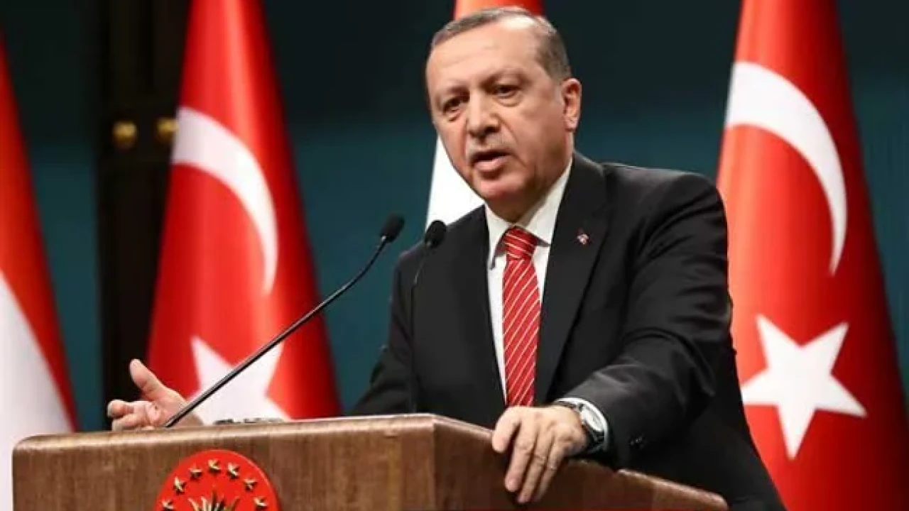 Turkey could part ways with EU if necessary: Erdogan
