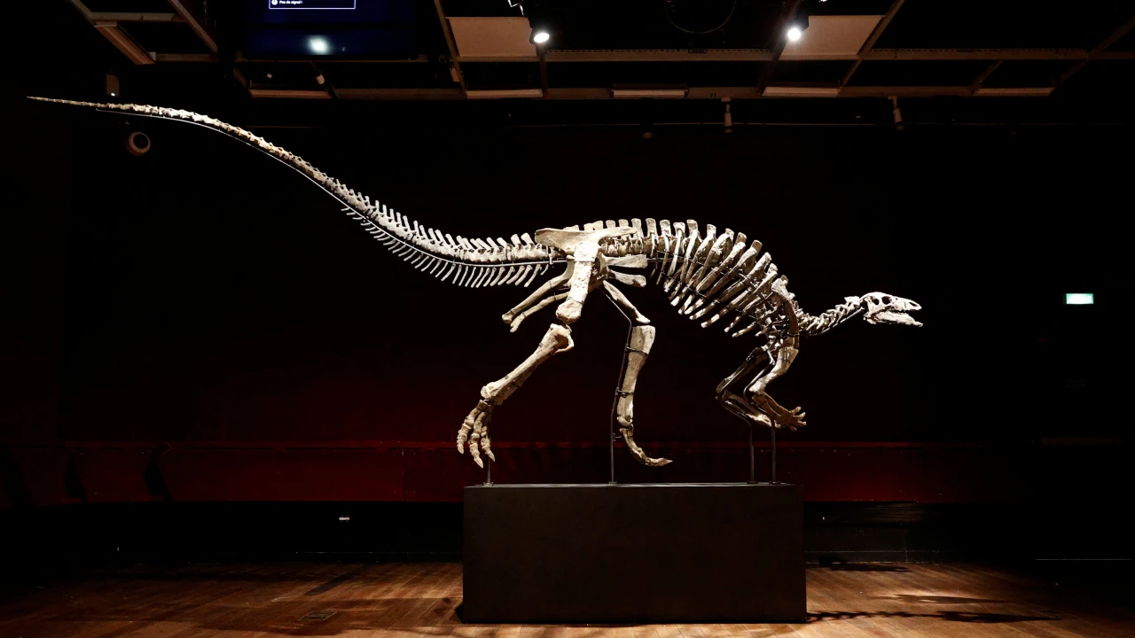 Dinosaur known as 'Barry' goes on sale in rare Paris auction
