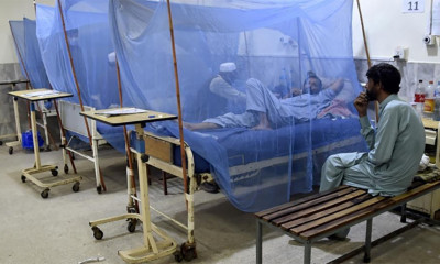 اسلام آباد میں 24 گھنٹوں کے دوران ڈینگی کے 23 کیس رپورٹ،متاثرہ مریضوں کی مجموعی تعداد 559 ہو گئی