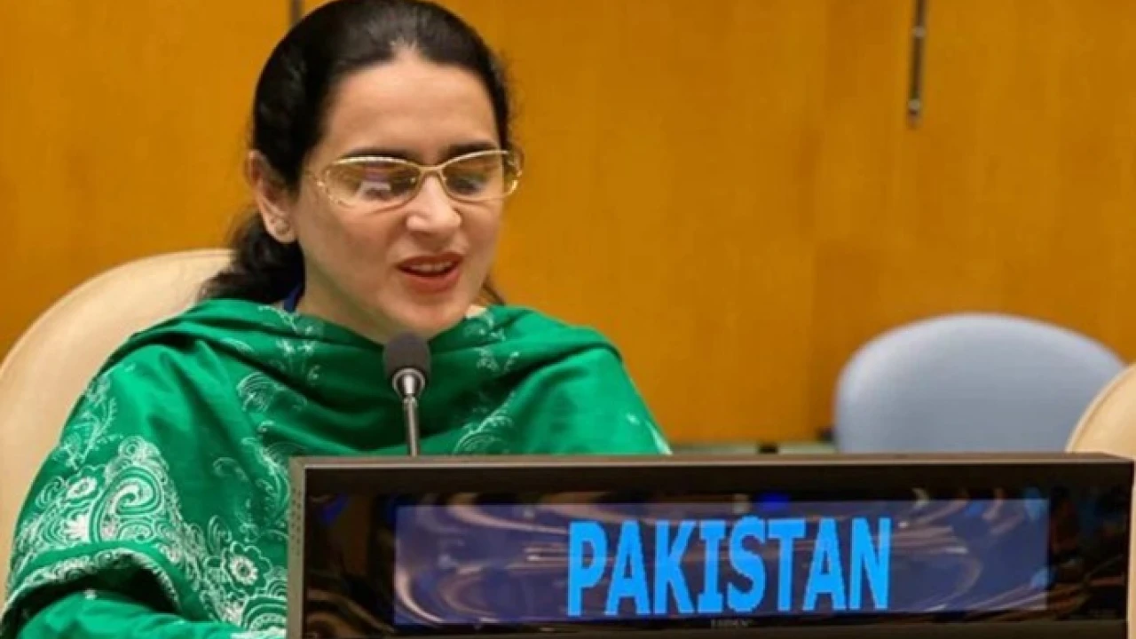 Pakistan's UN Representative rejects Indian claims on Kashmir issue