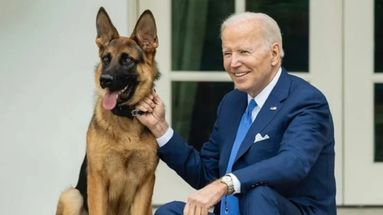 Joe Biden's dog bites secret service agent