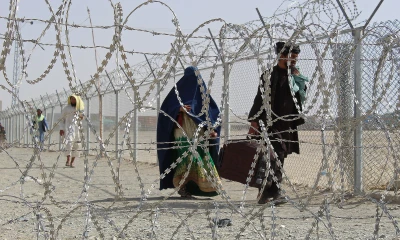 Afghan Taliban capture 200 militants behind cross-border attacks on Pakistan
