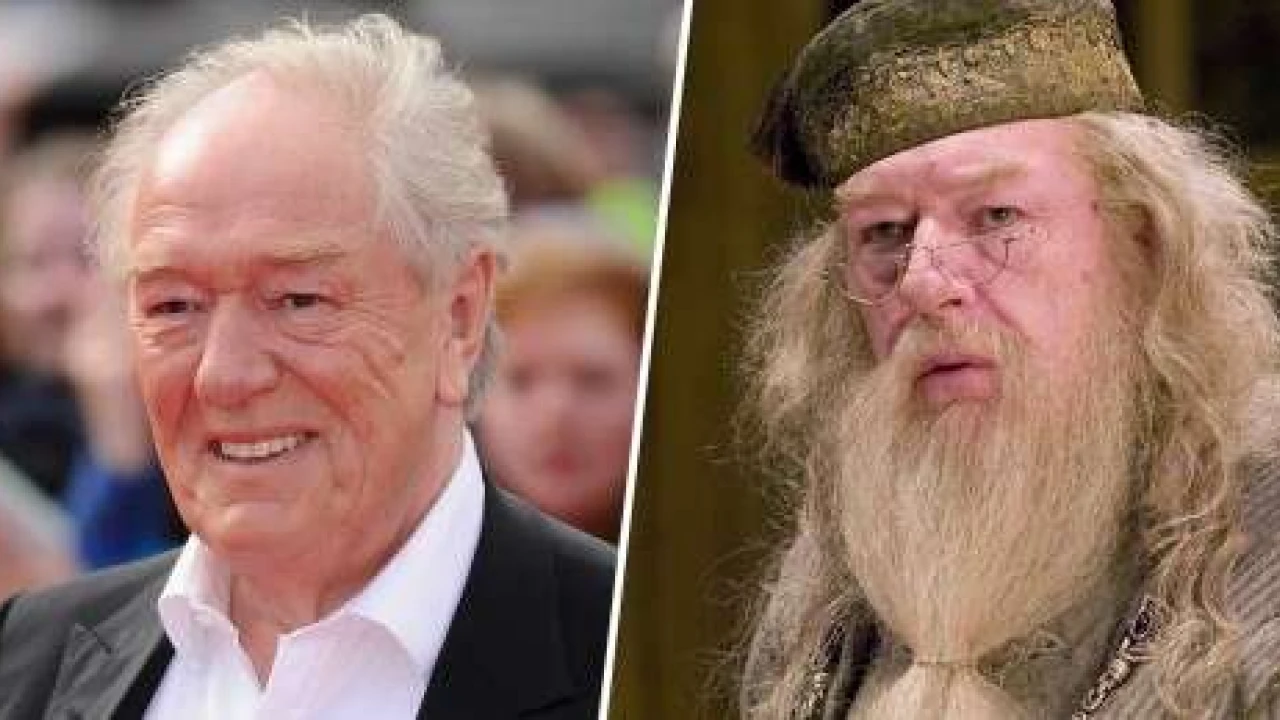 Harry Potter actor Sir Michael Gambon dies aged 82