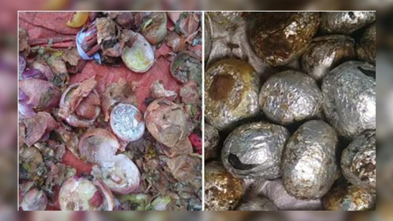 ANF foils bid to smuggle drugs hidden in onions