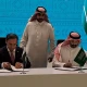 Pakistan, Saudi Arabia sign MoU in IT sector