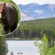 Couple killed in grizzly bear attack in Canada's Banff National Park