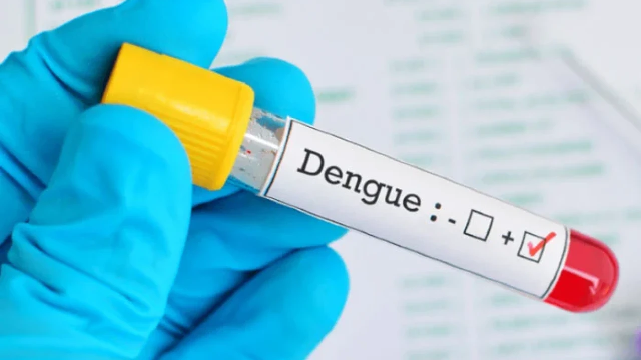 155 more dengue cases in Punjab