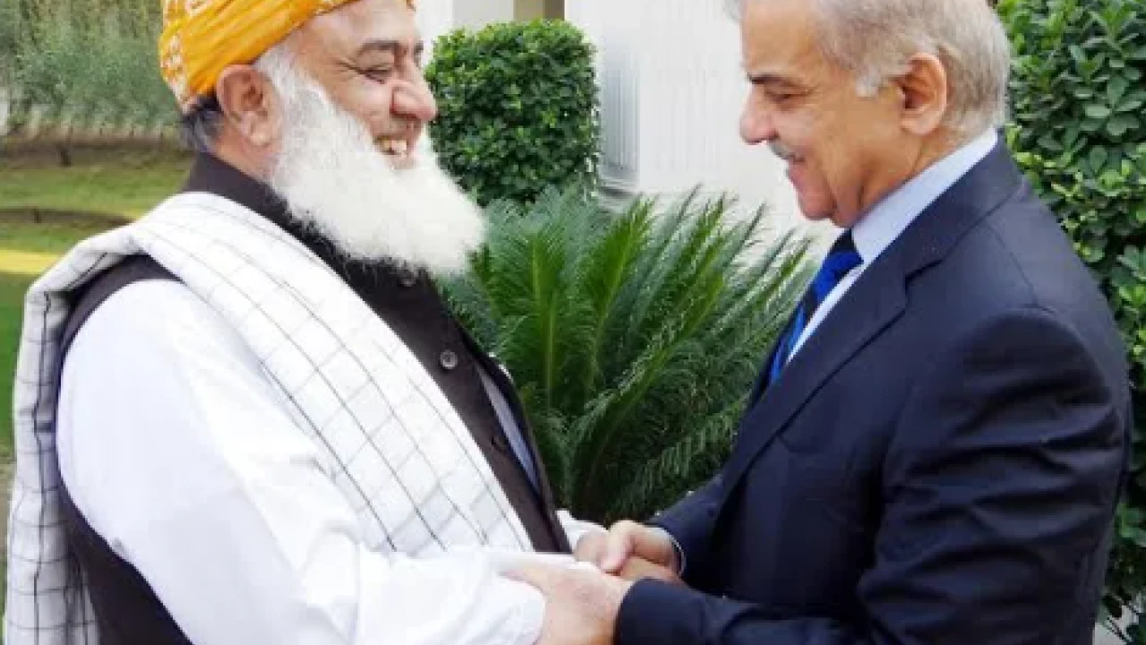 Shehbaz, Fazl meet, pledge collaboration