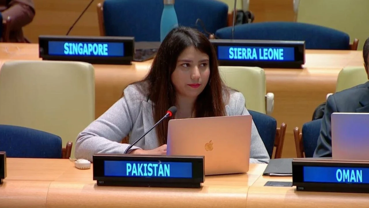 At UN, Pakistan calls Israel’s fierce actions against Palestinians in Gaza ‘war crimes’