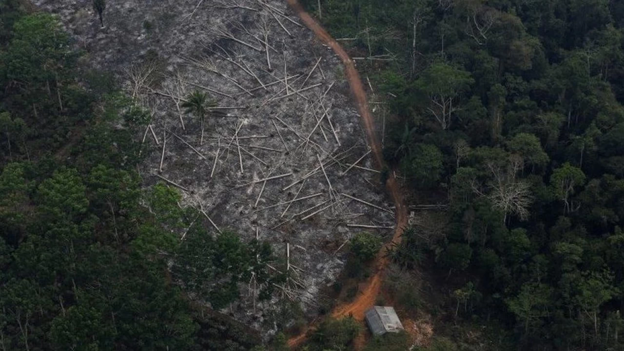 Brazil's Amazon deforestation surges to 15-year high