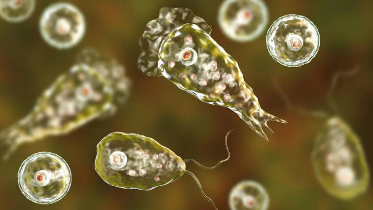 Naegleria claims another life in Karachi