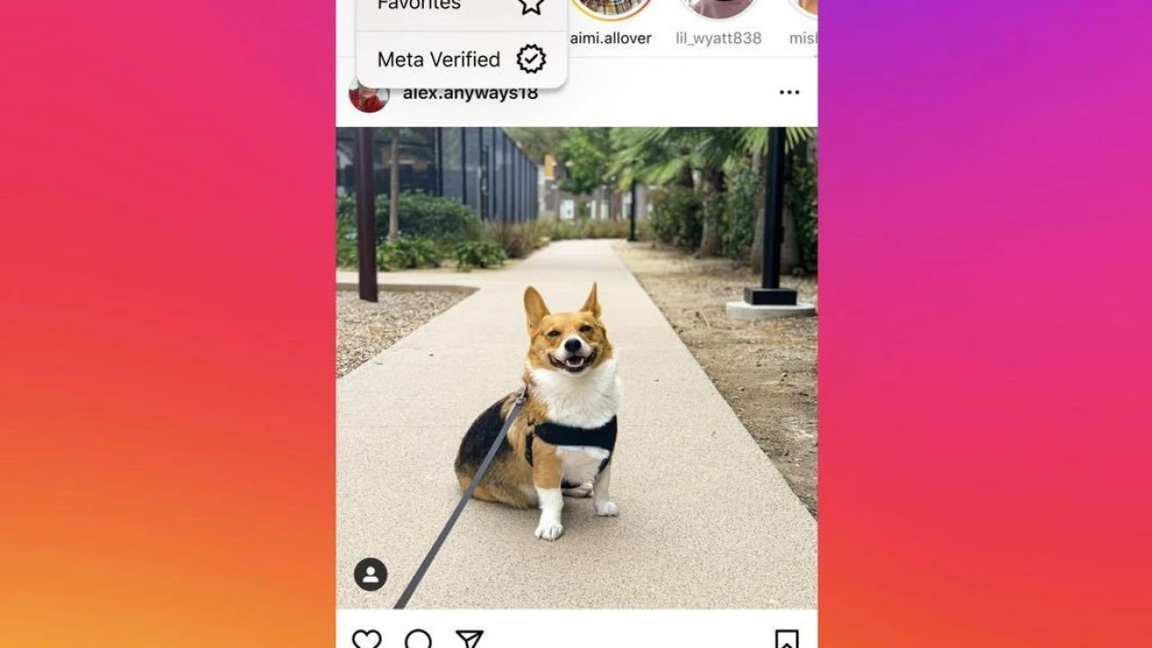 Instagram tests a verified-only feed