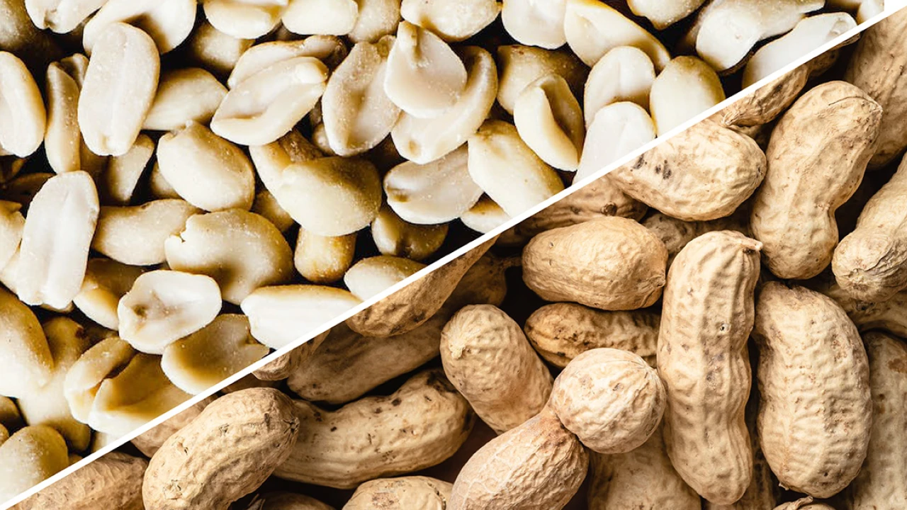 Pakistan witnesses surge in groundnut production 