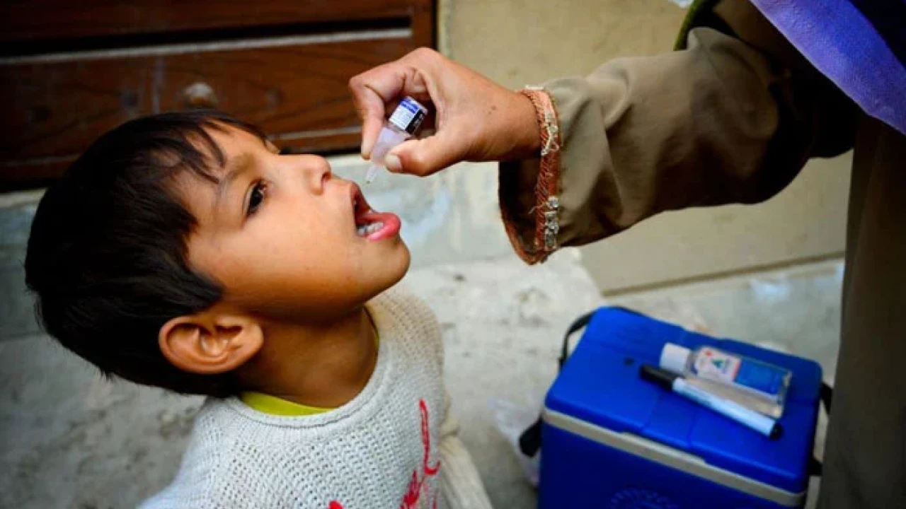 Special Anti-Polio campaign starts today
