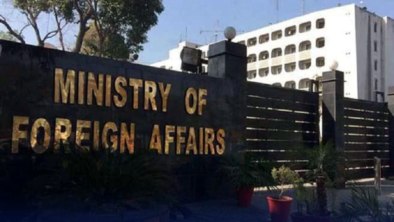 Deportation of  illegal foreigners in line with int’l norms: FO