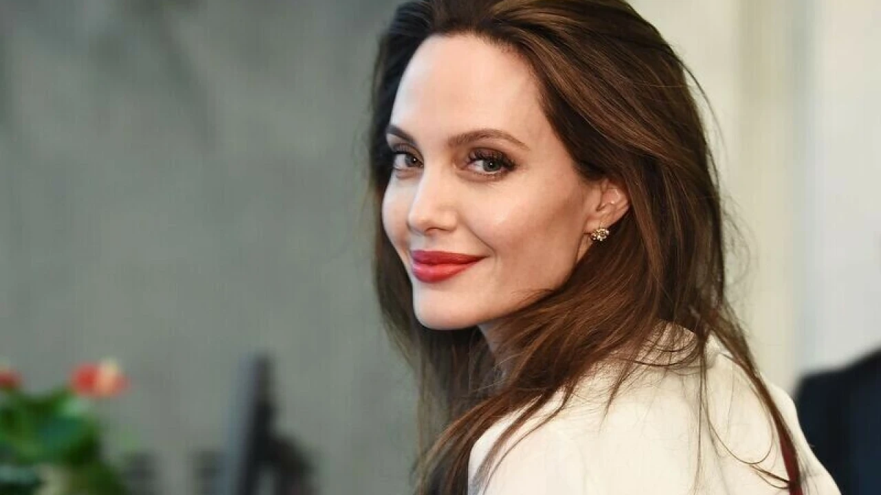 Angelina Jolie urges support for Palestinians