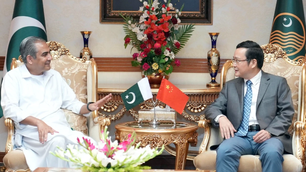 Chinese consul general calls on Punjab CM Naqvi