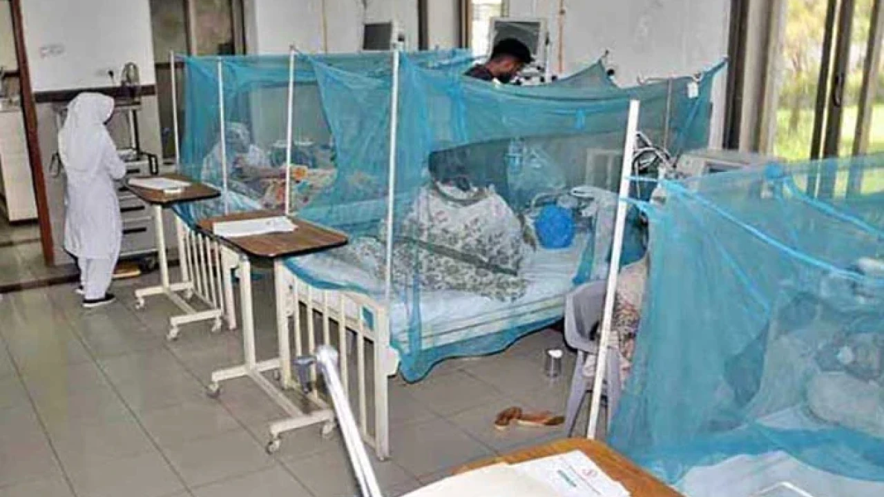 169 more dengue patients reported in Punjab