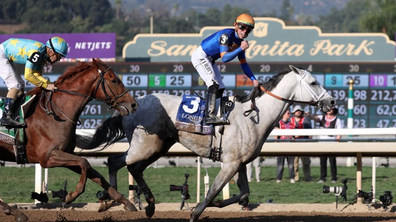 White Abarrio wins $6M Breeders' Cup Classic