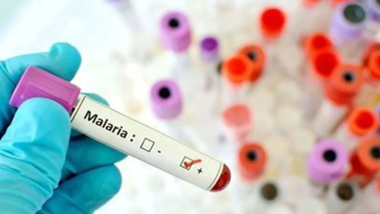 16 new cases of malaria in Karachi