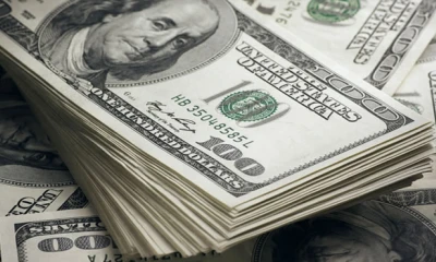 US Dollar rallies to fresh one-year high