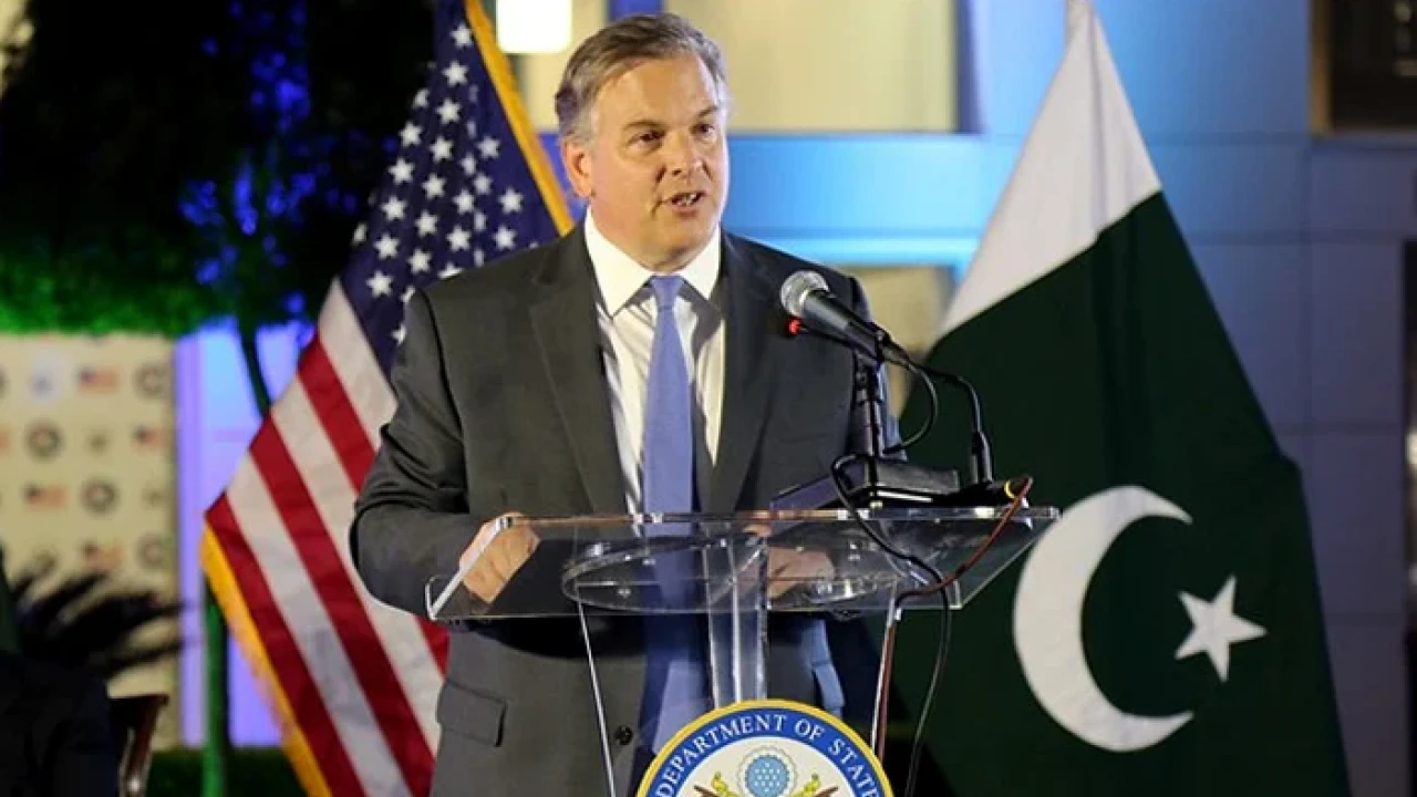 Pak-US relations now focus economic stability: US ambassador
