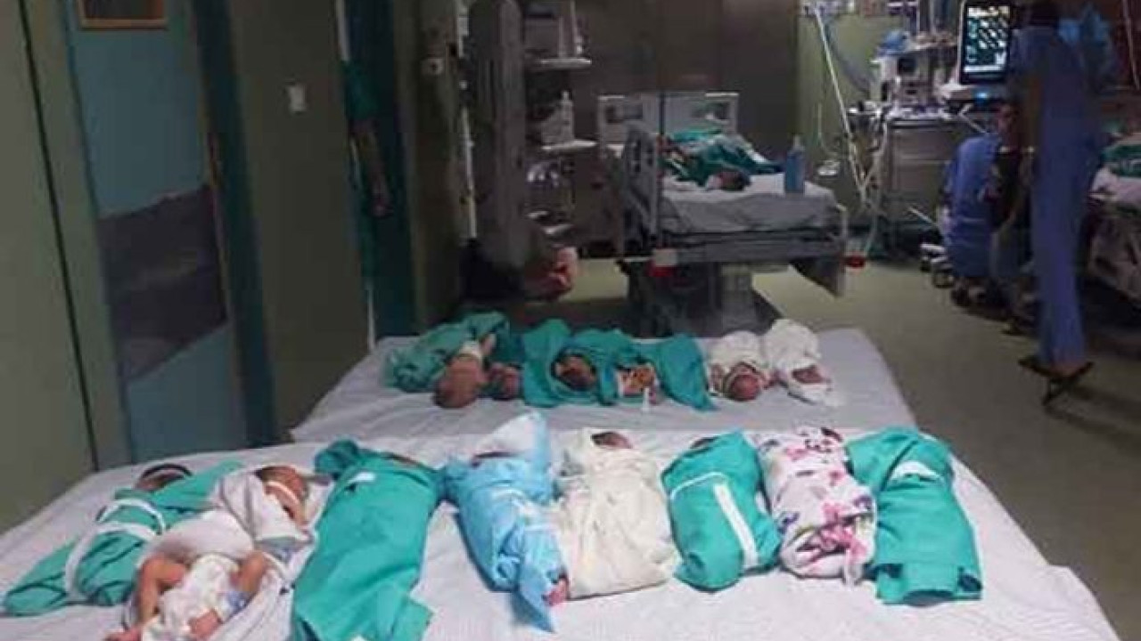 الشفاء ہسپتال میں پیدا ہونے والے تمام 41 بچوں کو نکال لیا گیا ہے