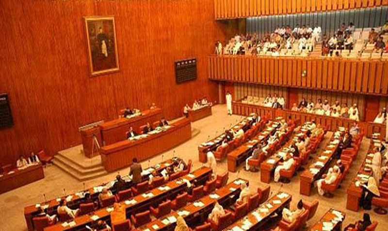 Senate terms quality education as fundamental right of every child - Vimarsana News