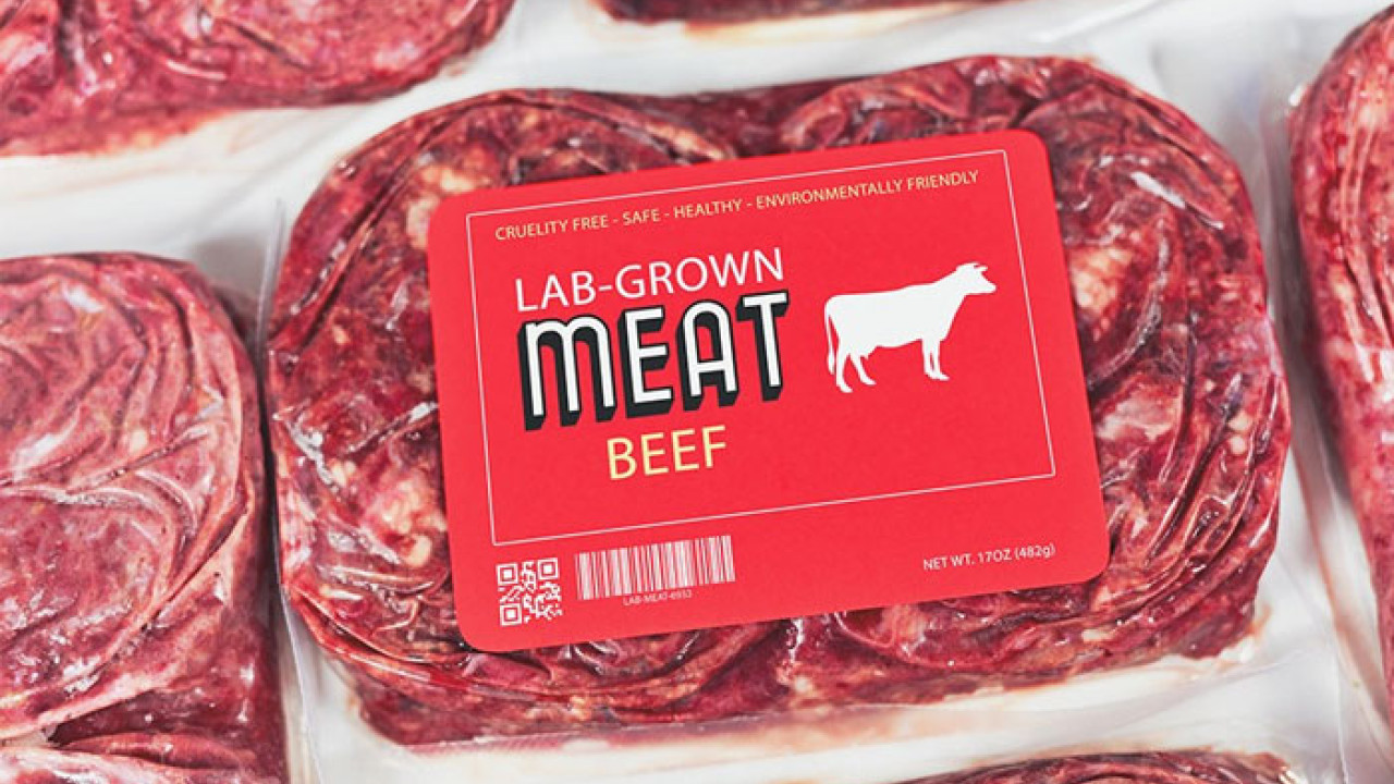 اٹلی نے لیبارٹری میں تیار کردہ گوشت پر پابندی لگا دی