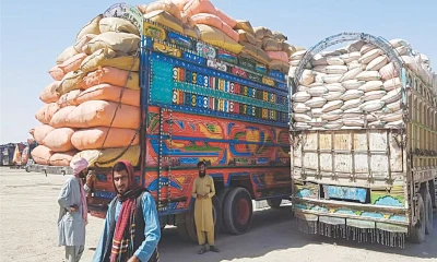 Export of Pakistani food increases by 30%