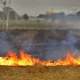 Three kids burnt due to crop residue burning