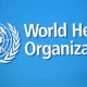 At UN, Pakistan calls for adequate funding for upgrading developing countries’ health structures
