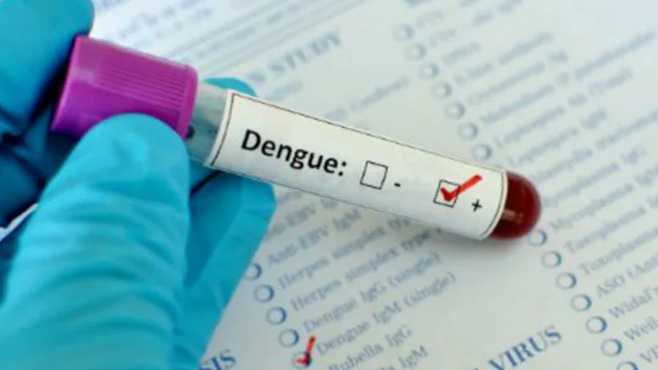 72 more people suffer from dengue in Punjab