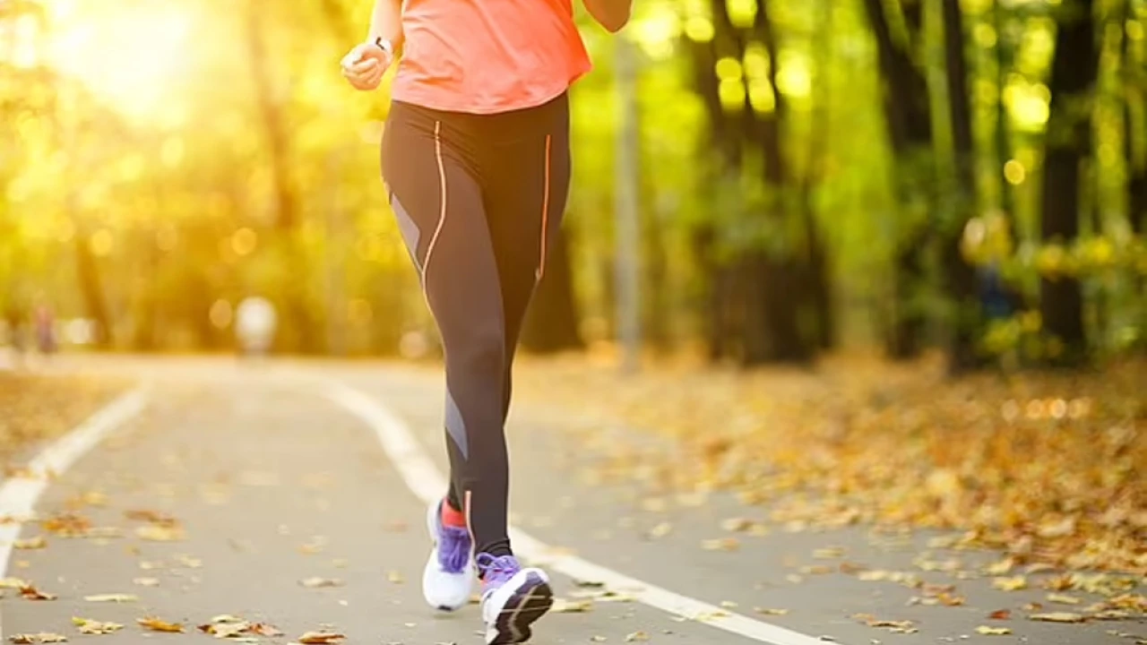 Exercise significantly reduces risk of breast cancer in women