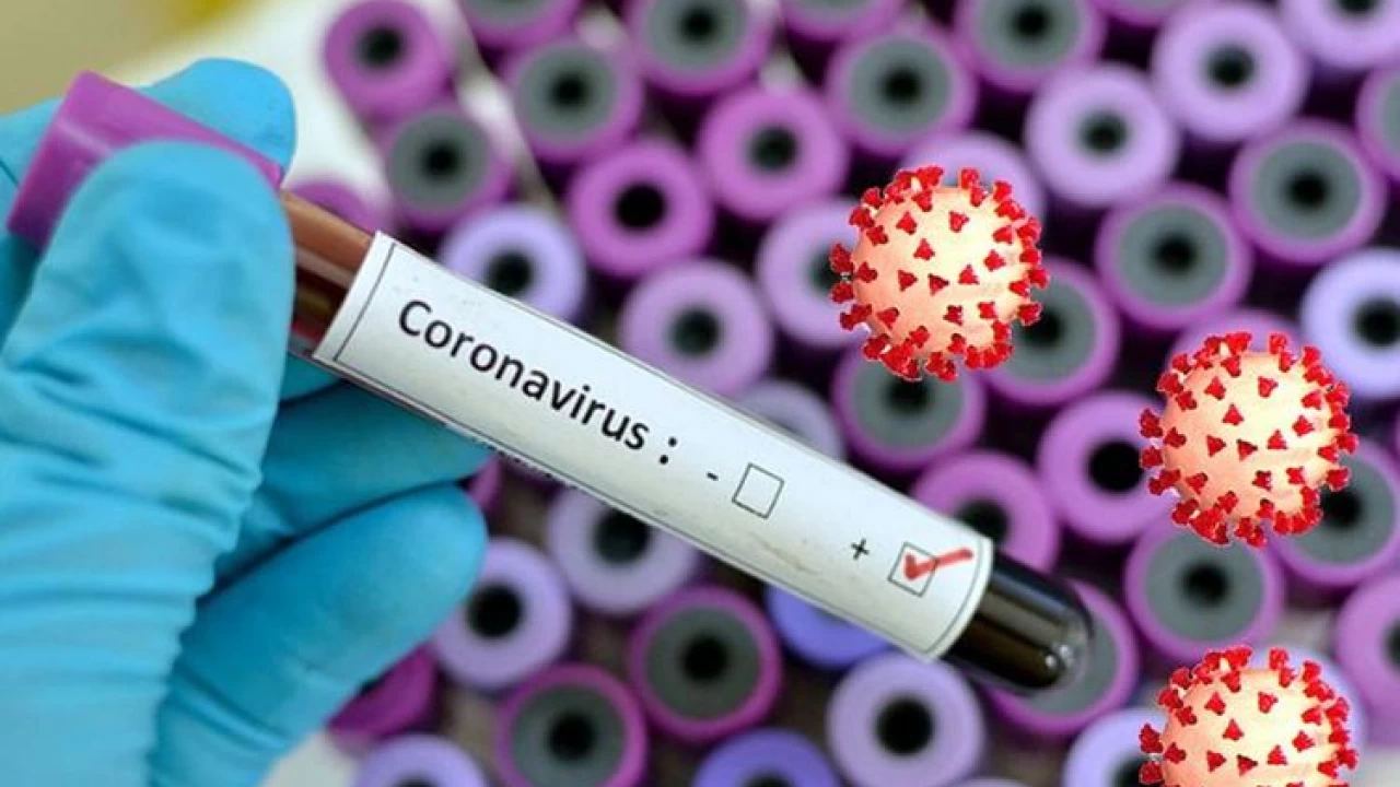 Pakistan reports 411 new coronavirus infections, 7 deaths in 24 hours